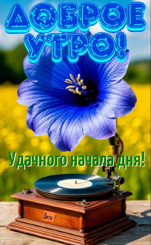 bff0ec1d89ba9548fd4d3c012e79edb6.jpg