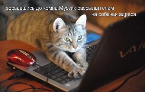 Юм.jpg