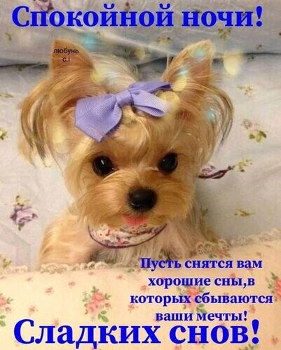 Спокойной Ночи Сладких Снов.jpg