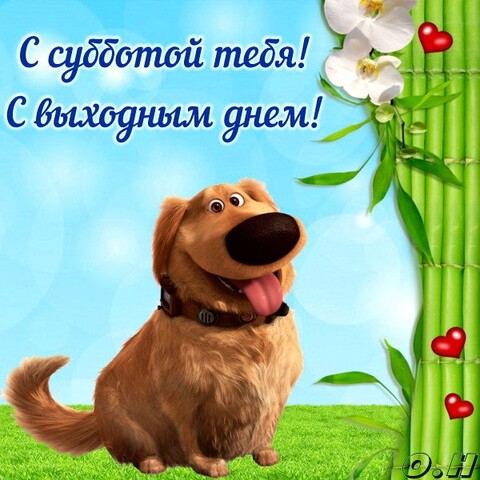 Суббота с выходным днём !.jpg