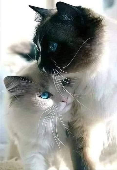 f3da61fbabeaea181f599f24abb8bf9e.jpg