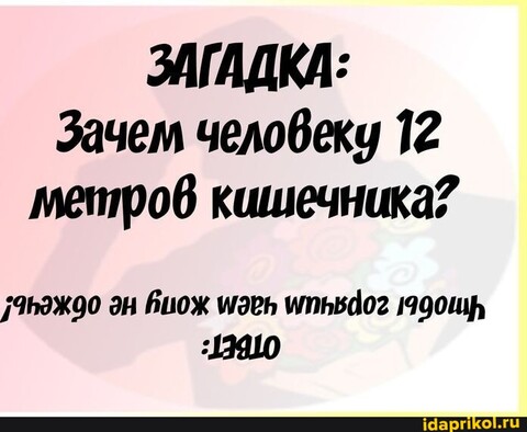 a08207b413a84f686d20b20b32dcf14908a7bd1cd006d5533403feef625da2b0 1 jpg.jpg