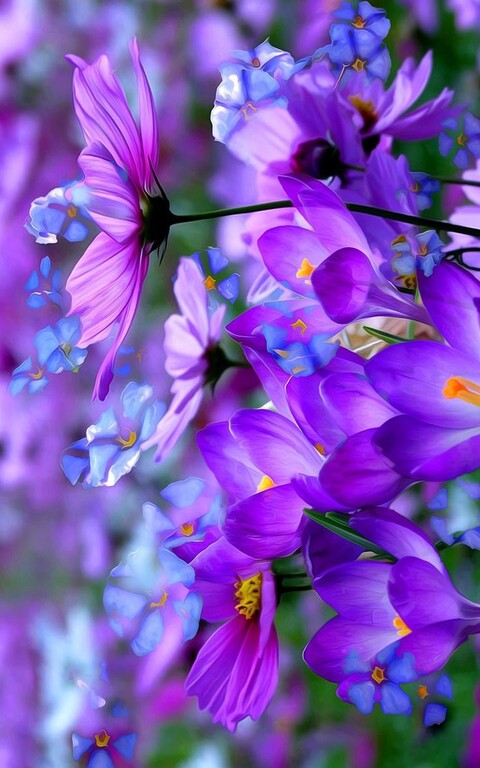 9dda47735631ae243d73da5cec0d7f6a.jpg