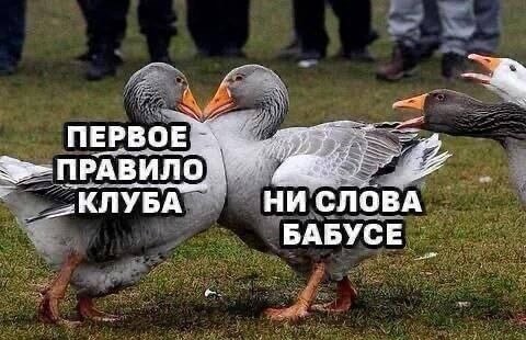 a3e542c24f1d42dba6a9ac215f6260ab3842690496e766950f0cbc75864e0ff0 1 jpg 1.jpg
