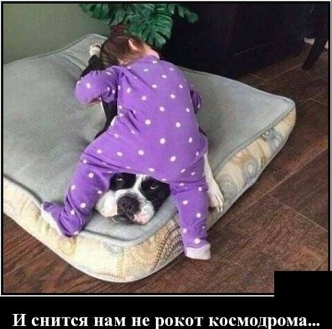 d7161c86-a4a1-47bd-a765-c2ba2ccfbdc0.jpg