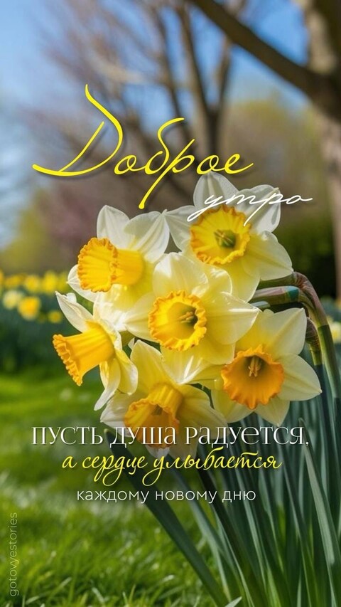 Доброе Утро.jpg