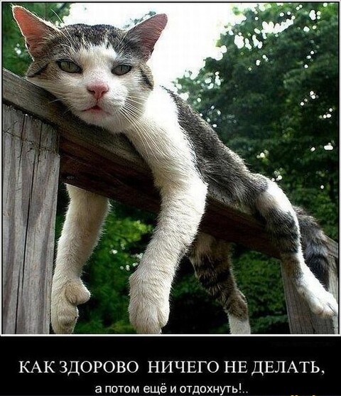 a95f678d-b1d3-46e2-9bfd-29e3383af279.jpg
