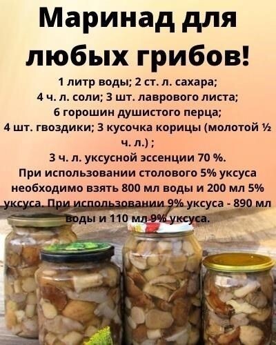 c0caa31e30a15f9c1a2f0e3cb65996de.jpg