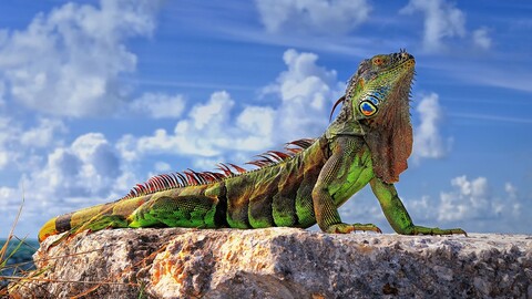 Image from million-wallpapers ru (30).jpg