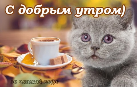 0 700.jpg
