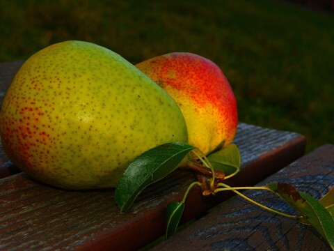 pears-good-luise-fruit-leaves-wallpaper.jpg