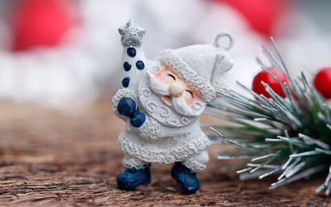 64850-ded moroz elochnye igrushki vetka hvoya rozhdestvo.jpg