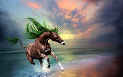 horse-1662017319966-4409.jpg