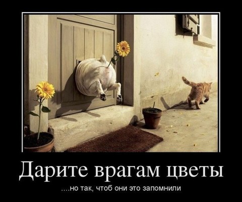 a0603d21a3.jpg