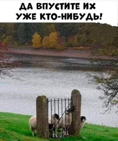 6a4eb48d40084b890dcdc5ca13123606.jpg