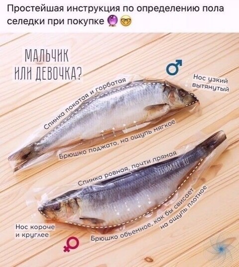 a84d24f42745560b8f39df308a3867d7.jpg