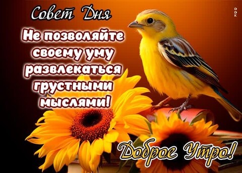Доброе Утро.jpg