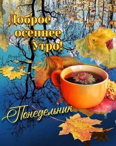 ПОНЕДЕЛЬНИК.jpg
