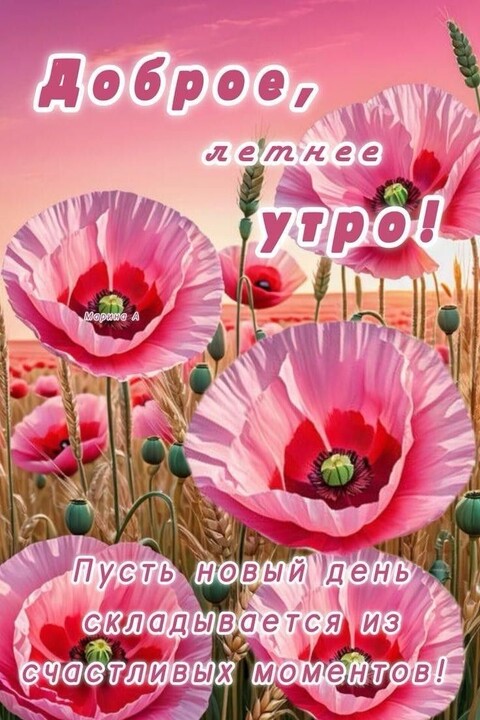 4e84ea689f40a99e002af4718330ff0c.jpg