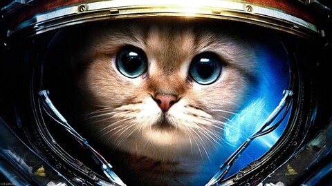 Image from million-wallpapers ru (25).jpg