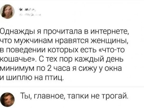 9e98b27ec0f76b14b77fd49d29144208deea7c14dd96a1ebadbe2476d295073d 1 jpg 1.jpg