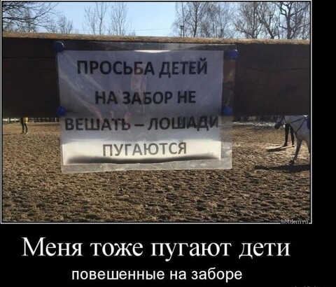 ab806936-bf12-4d3b-a631-2a7023063dc8.jpg