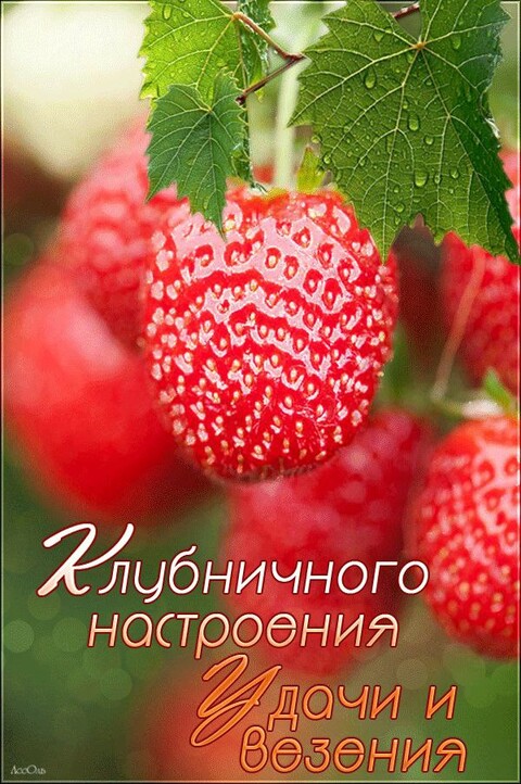 Клубничного Настроения - Удачи и Везения.jpg