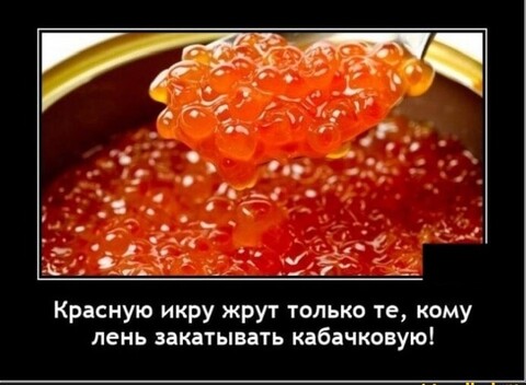 a62b384f-c3ba-4690-b6e9-95405d07a88f.jpg