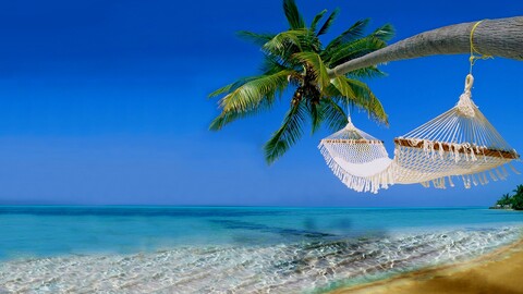 tropical-beach-5120x2880-ocean-hawaii-coast-4k-5336.jpg