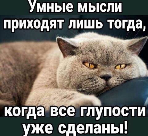4cfee456-45c5-4a1a-8e65-86fbe14d6774.jpg