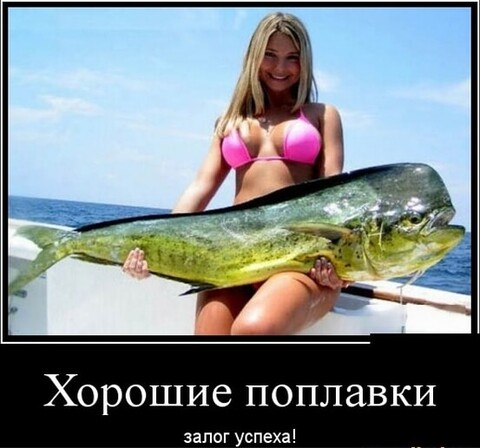 2be48832-4144-45c4-980f-b8ad9734aaac.jpg