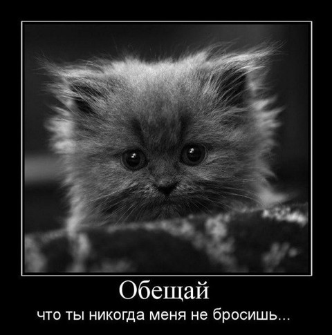 SMOLA7kK9hs.jpg