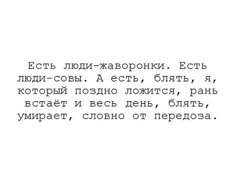 8T1zCe0GXiM.jpg