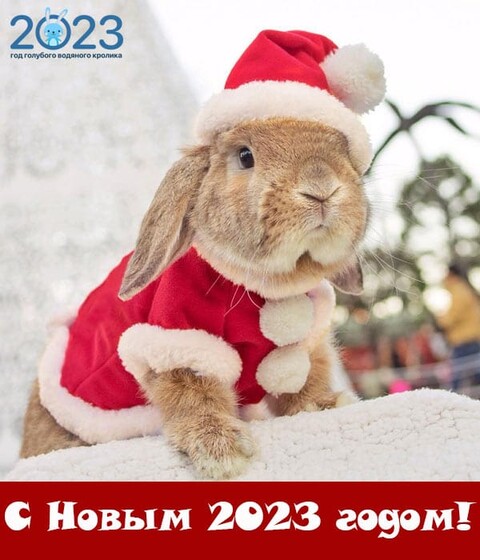 С Новым 2023 Годом.jpg