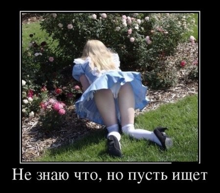 Dkdkdkd.jpg