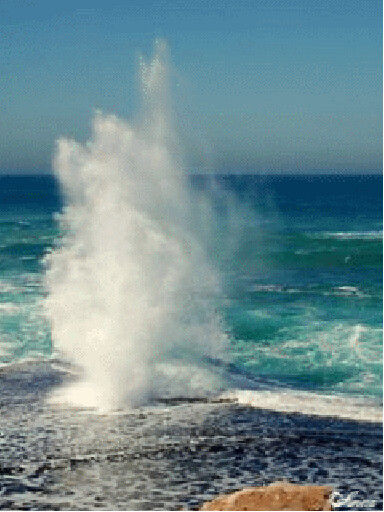resize(1).gif
