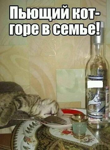 c071185b4b645ec7ffeb2db17e1b7bf4.jpg