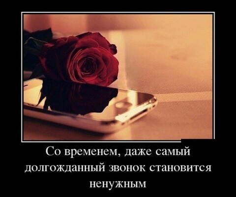 f03a1cc3-dfc7-4ea8-bf0c-01ecd391415b.jpg