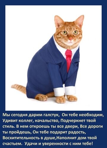 С Днём Галстука.jpg