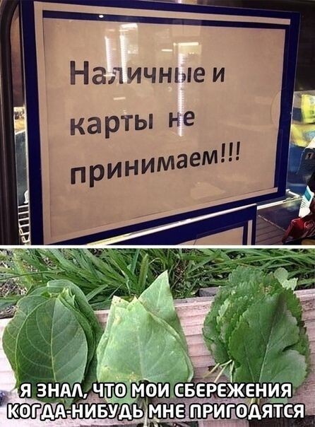 0590924ab1edcb969bb5ff55672d298e.jpg