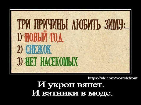 Дм -.jpg