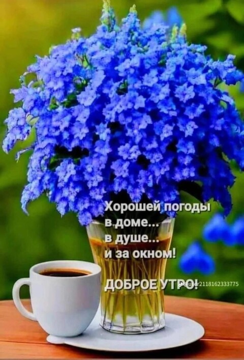 Доброе Утро.jpg
