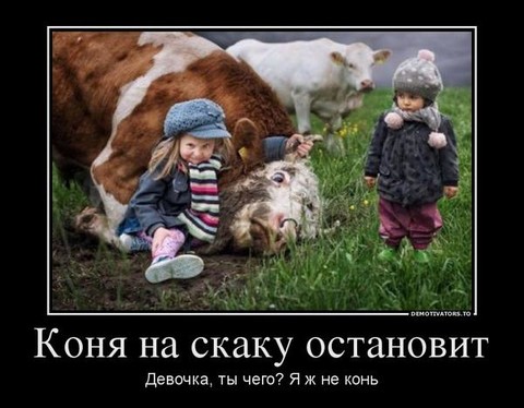 Д-.jpg