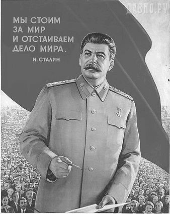 image (8).jpg