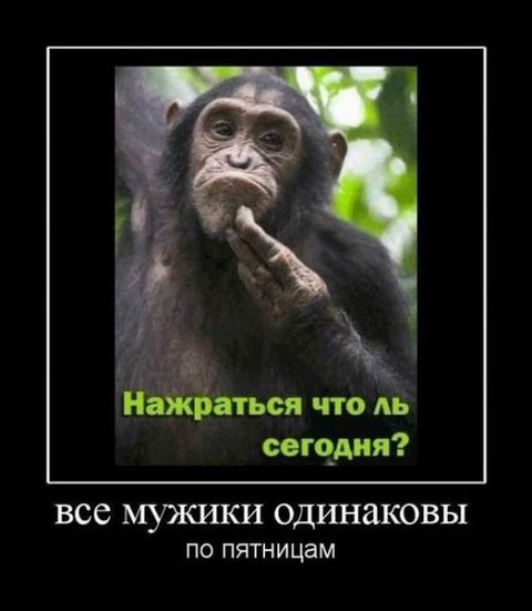 y c35422df.jpg