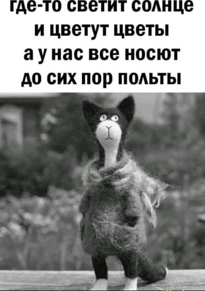 14cfa1c426a778fe6a7b490523d35c720a8277ab61d6b187a24685ad325a6820 1 jpg 1.jpg
