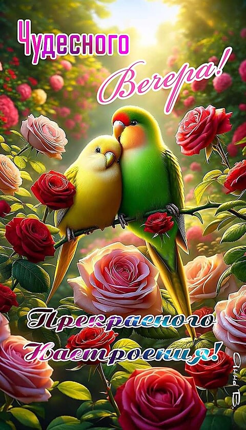 cfaebb1ca5a4c8c40bfdafa8aa38b688.jpg