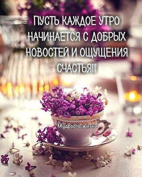 34f864a3e9fe988c856842c40df97021.jpg