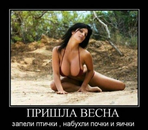 prishla vesna.jpg
