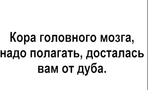 df5a8757-6298-41e6-ac44-4c98a9814c89.jpg